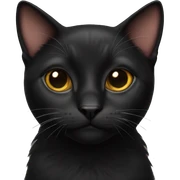 pretty black cat sticker
