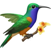 Colibrí sticker