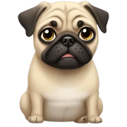 pug boy sticker