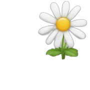 Relax Daisy sticker