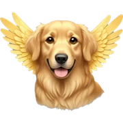 golden retriever with wings sticker
