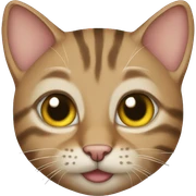 Tabby cat sticker