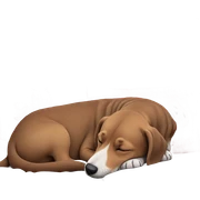 realistic sleeping dog on pillow sticker