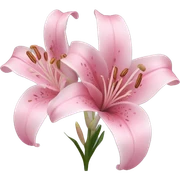 Pink lilies  sticker