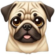Pug tomando café sticker
