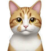 raknbow cat sticker