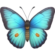 butterfly  sticker
