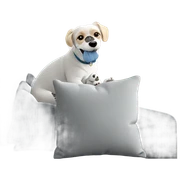 cozy dog on couch indoors sticker