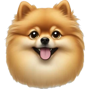 Pomeranian sticker
