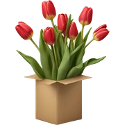 Realistic tulips in box sticker