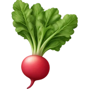 Radish sticker