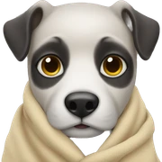 Blanket  sticker