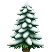  actual white fir christmas tree isolated.  sticker