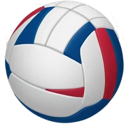 volleyball  sticker