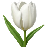 White Tulips sticker