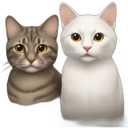 Two cats sticker