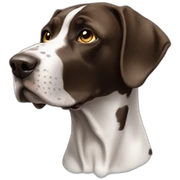 pointer sticker