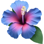 Blue hibiscus flower sticker