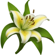 flowers lily sticker