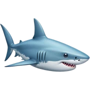 shark sticker