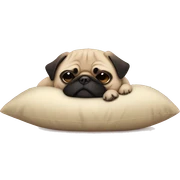 a pug dog sleeping on pillow sticker