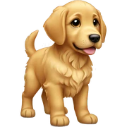 Golden retriever puppy standing sticker