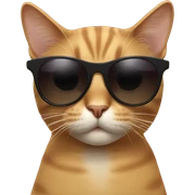 Cat with sunglasses sticker