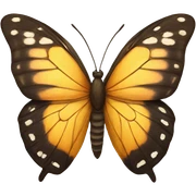 butterfly  sticker