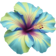 blue hibiscus flower  sticker