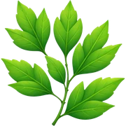 Growth  sticker