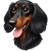 Long-haired black dachshund sticker