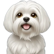Maltese dog sticker