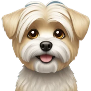 morkie sticker