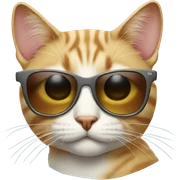 Cat with sunglasses sticker