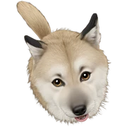realistic animal gaze focus sticker