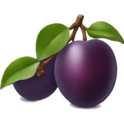 Fruit plum  sticker