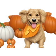 playful dog with pumpkin joy sticker