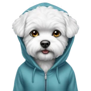 bichon wearing hoodie sticker