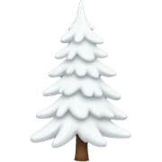  actual white fir christmas tree isolated.  sticker