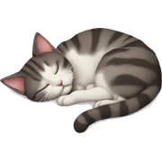 Cat sleep sticker