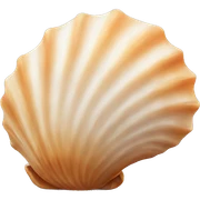 seashell sticker
