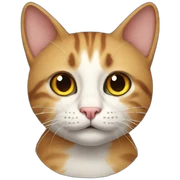 Cat cat sticker