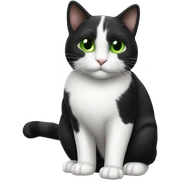 Black and white cat sticker