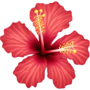 hibiscus sticker