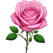 Pink sticker
