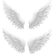 WINGS sticker