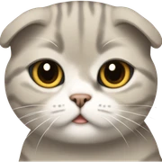 Scottish fold cat tomboy sticker