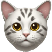 Cat sticker