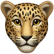 Leopard sticker