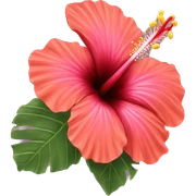 Hibiscus sticker